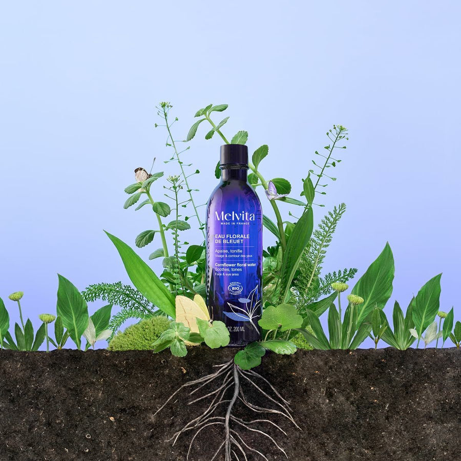 V2H57B33202382A47AB21BE649F7E17FFF0R6985291P6